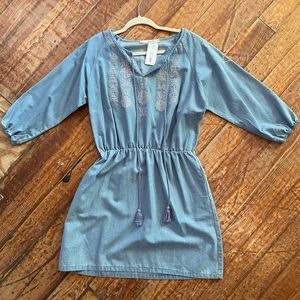 Plum Embroidered Denim Tie Dress